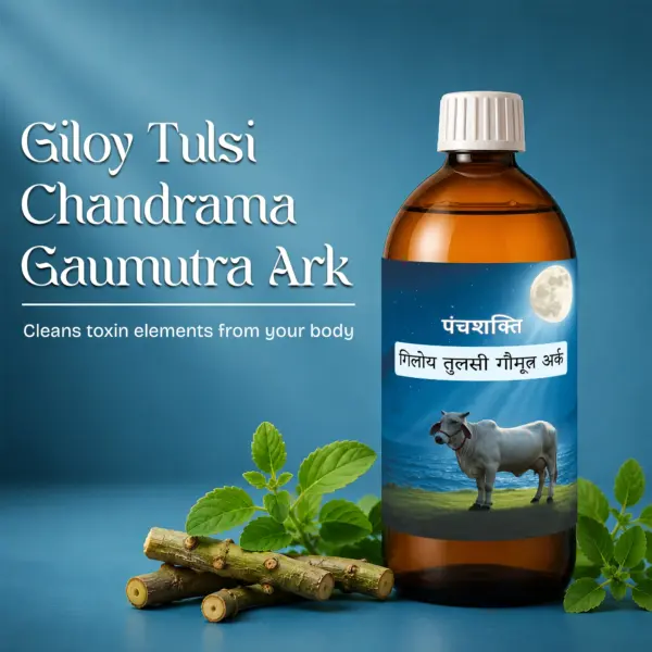 tulsi1