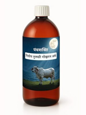 desi gau