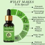 Tea tree