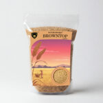 browntop millet
