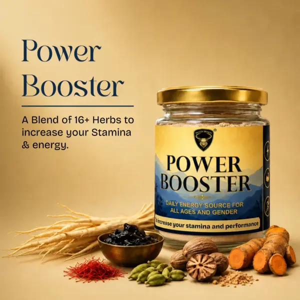 Power Booster 1